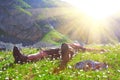 Hiker lies Royalty Free Stock Photo