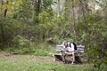 Hiker Looking at Map Royalty Free Stock Photo