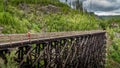 Hiker looking into Myra Canyon from one of the 18 Wooden Trestle Bridges of the abandoned Kettle Valley Railway in Myra Canyon