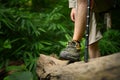 Hiker man with trekking sticks walking cross tree trunk in forest . Traveling and adventure concept