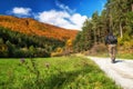 Hiker man walking on forest path between colorful autumn trees Royalty Free Stock Photo