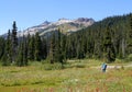 Hiker in Meadows of Callaghan Valley Royalty Free Stock Photo