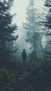 Hiker in a misty forest on a moody day Royalty Free Stock Photo