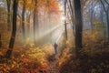 hiker on a misty morning in the autumn forest, with the sun breaking through the trees Royalty Free Stock Photo