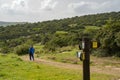 A Walk in Israeli Nature Royalty Free Stock Photo