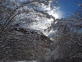 Hiker point of view. Closeup legs with snowshoes walking on snow surface. Snowshoeing on fresh snow Royalty Free Stock Photo