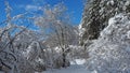 Hiker point of view. Closeup legs with snowshoes walking on snow surface. Snowshoeing on fresh snow