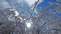 Hiker point of view. Closeup legs with snowshoes walking on snow surface. Snowshoeing on fresh snow