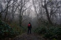 A hiker with ruck sack on a path through woodland on a moody, foggy winters day