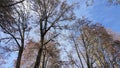 Hiker\'s point of view along the Parque Termal de Pedras Salgadas