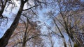 Hiker\'s point of view along the Parque Termal de Pedras Salgadas