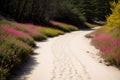 A hiker s trail of footprints turning into a path of blooming flowers