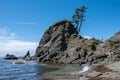 Hiker on sea rocks on Shi Shi Beach in Olympic National Park, Washington. Royalty Free Stock Photo