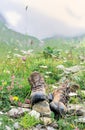 Hiker shoes in grass and flowers