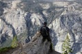 A hiker sits on a dead tree on the edge of the precipice. Yosemite National Park, California USA