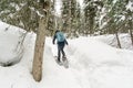 Hiker snow shoeing on trail Royalty Free Stock Photo