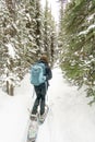Hiker snow shoeing on trail