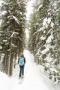 Hiker snow shoeing on trail