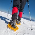 Hiker snowshoeing in winter mountains during sunny day Royalty Free Stock Photo