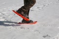 Hiker with snowshoes and velvet pants walks on fresh snow