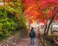 Hiker on stairs down looking at autumn foliage in Mitake Gorge (Ome region, Tokyo, Japan) Royalty Free Stock Photo