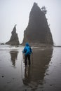 A hiker is stand on the sand looking at sea stack.