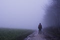 A hiker standing on a track on a spooky, foggy winters day in the countryside