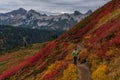 Hiker Stops to Enjoy The View