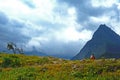 Hiker strolls along a trail in Glacier National Park.