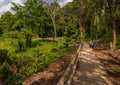 Hiker on a trail to Bua Tong Spring, Nam Phu Chet Si,.Thailand