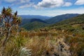 A hiker or tramper following a poled route, Kahurangi National Park, Tasman region, south island, Aotearoa / New Zealand Royalty Free Stock Photo