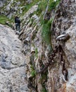 Hiker traverses rocky wall