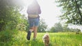 hiker trekking. girl tourist walks on the grass in the forest park with a backpack legs close-up next to the faithful Royalty Free Stock Photo