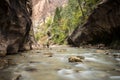 dramatic and tranquil landscape image taken in the Narrows on Zion national park. Its the Virgin River r in the park. Royalty Free Stock Photo