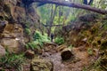 Hiker walking through cutting on the disused tramway on Box Vale walking track Mittagong NSW Australia Royalty Free Stock Photo