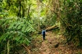 A hiker walking on a dirt hiking trail in the forest at Uluguru Nature Forest Reserves, Tanzania