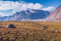 Hiker walking through remote arctic valley on a sunny summer day. Dramatic arctic landscape of Akshayuk Pass, Baffin