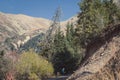 Hiker walking on trail between forest and mountains scenic photography