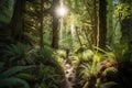 hiker, wandering through lush forest, with the sun shining through the trees Royalty Free Stock Photo