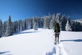 Hiker in winter mountains Royalty Free Stock Photo