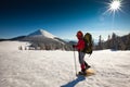 Hiker in winter mountains Royalty Free Stock Photo