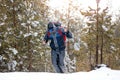 Hiker in winter mountains. Man with backpack trekking in forest.