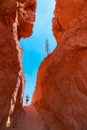 Hiker woman in Bryce Canyon hiking looking and enjoying view during her hike wearing hikers backpack. Royalty Free Stock Photo