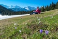 Dreilaendereck - Hiker woman on field of white and purple crocuses flowers in full bloom on idyllic alpine meadow