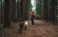 Hiker woman in red raincoat walks along forest path with two dogs and makes photo on smartphone. Mongrel dogs accompany the