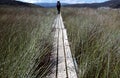 Hiker on Wooden Walkway Royalty Free Stock Photo