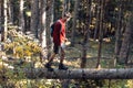 Hiker young man walking through the fallen tree in the mountain Royalty Free Stock Photo