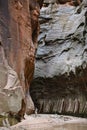 Hiker at Zion Narrows Royalty Free Stock Photo