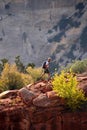 Hiker in Zion National Park