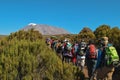 Hikers against a mountain background, Mount Kilimanjaro